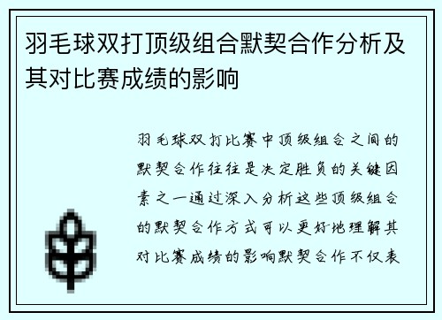 羽毛球双打顶级组合默契合作分析及其对比赛成绩的影响