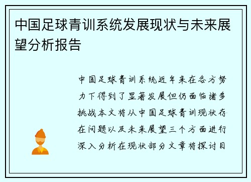 中国足球青训系统发展现状与未来展望分析报告